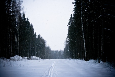 Snow it is expensive in a distanceの写真素材