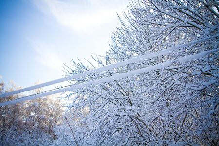 The frozen wiresの写真素材