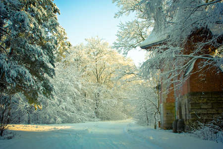 The ancient gate to the old abandoned forest parkの写真素材