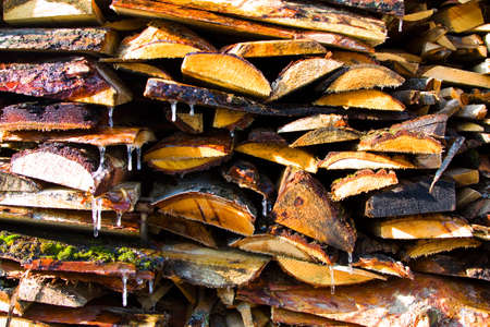 A pile of frozen firewoodの写真素材