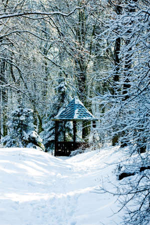 Winter summerhouseの写真素材