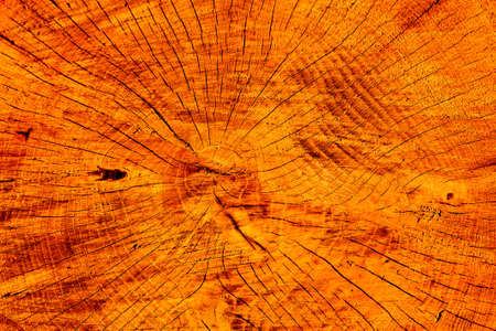 Wooden texture as a background