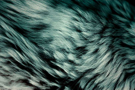 Animal fur as a backgroundの写真素材