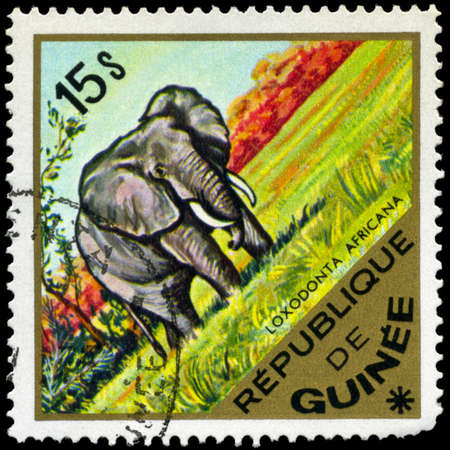 GUINEA - CIRCA 1975: A Stamp shows a elephant, series, circa 1975の写真素材