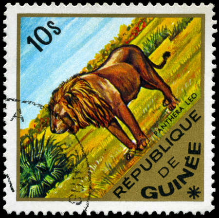 GUINEA - CIRCA 1975: A Stamp shows image of a lion with the inscription "Panthera Leo", series, circa 1975の写真素材