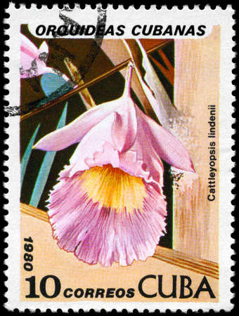 CUBA - CIRCA 1980: A Stamp shows image of a Cattleyopsis with the inscription "Cattleyopsis lindenii", from the series "Cuban Orchids", circa 1980の写真素材