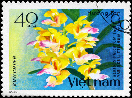 VIETNAM - CIRCA 1979: A Stamp shows image of a Aerides or the Cat's-tail Orchid or the Fox Brush Orchid, with the inscription "Aerides Falcatum Lindl Var Houlletianum Veitch", from the series "Orchids", circa 1979の写真素材