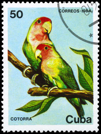 CUBA - CIRCA 1984: A Stamp printed in CUBA shows image of a Parrots  from the series Fauna, circa...
