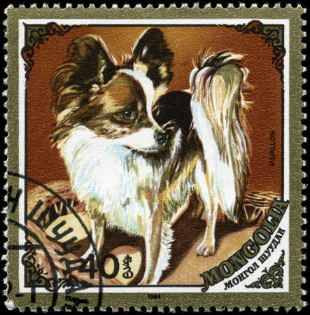 MONGOLIA - CIRCA 1984: A Stamp printed in MONGOLIA shows image of a Papillon from the series "Dogs", circa 1984の写真素材