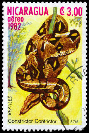 NICARAGUA - CIRCA 1982: A Stamp printed in NICARAGUA shows the image of a Boa with the description "Constrictor constrictor" from the series "Reptiles", circa 1982の写真素材