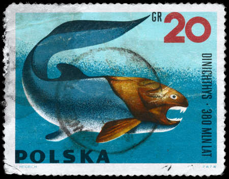 POLAND - CIRCA 1966: A Stamp printed in POLAND shows image of a Dunkleosteus with the inscription "Dinichthys" from the series "Prehistoric Animals", circa 1966の写真素材