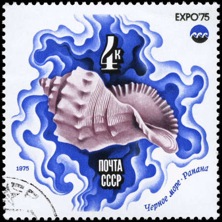 USSR - CIRCA 1975: A Stamp printed in USSR shows image of a Salt-water Shell, Black Sea from the series "Oceanexpo 75 Emblem", circa 1975の写真素材
