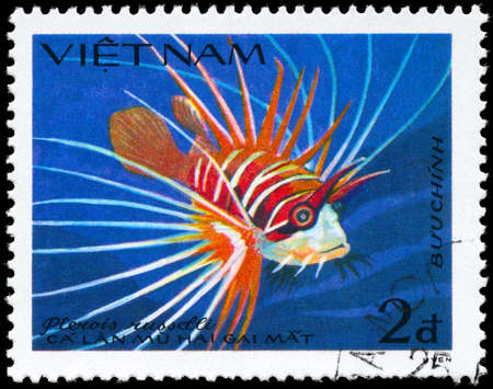 VIETNAM - CIRCA 1984: A Stamp printed in VIETNAM shows image of a Lionfish with the inscription "Pterois russelli" from the series "Fish", circa 1984の写真素材