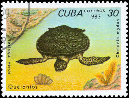 CUBA - CIRCA 1983: A Stamp printed in CUBA shows the image of a Green Turtle with the description...