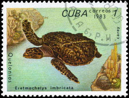 CUBA - CIRCA 1983: A Stamp printed in CUBA shows the image of a Hawksbill Turtle with the...
