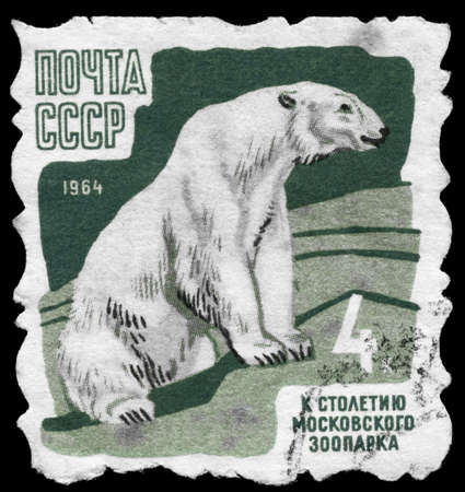 USSR - CIRCA 1964: A Stamp printed in USSR shows image of a Polar Bear from the series "100th anniv. of the Moscow zoo", circa 1964の写真素材