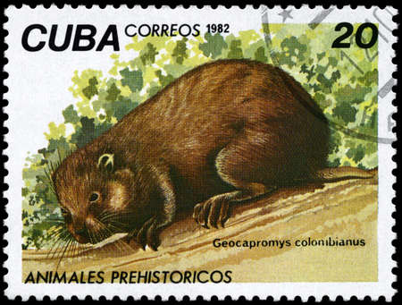 CUBA - CIRCA 1982: A Stamp printed in CUBA shows image of a Hutia with the designation "Geocapromys colombianus" from the series "Prehistoric Fauna", circa 1982の写真素材
