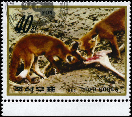 NORTH KOREA - CIRCA 1984: A Stamp printed in NORTH KOREA shows image of a Foxes with prey from the...