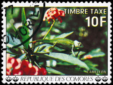COMOROS - CIRCA 1977: A Stamp printed in COMOROS shows the image of a Chameleon, series, circa 1977