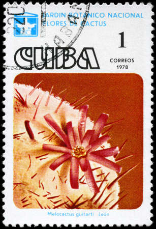 CUBA - CIRCA 1978: A Stamp printed in CUBA shows image of a Melocactus guitarti, from the series Cactus Flowers, circa 1978の写真素材