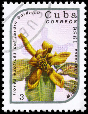 CUBA - CIRCA 1986: A Stamp printed in CUBA shows image of a Michelia champaca, from the series...