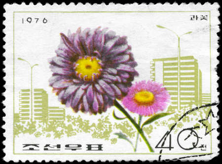 NORTH KOREA - CIRCA 1976: A Stamp printed in NORTH KOREA shows image of a China Aster, from the series "Flowers", circa 1976の写真素材