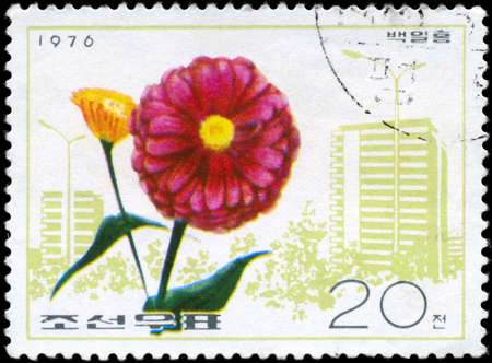 NORTH KOREA - CIRCA 1976: A Stamp printed in NORTH KOREA shows image of a Zinnia, from the series "Flowers", circa 1976の写真素材