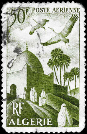 ALGERIA - CIRCA 1949: A Stamp printed in ALGERIA shows the Storks over Mosque, series, circa 1949の写真素材