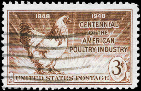 USA - CIRCA 1944: A Stamp printed in USA shows the Light Brahma Rooster, Centenary of the American poultry industry, circa 1944のeditorial素材