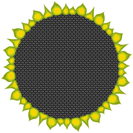 Ripe Sunflower closeupのイラスト素材