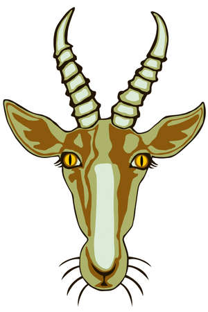 Head of an Antelope Bontebokのイラスト素材