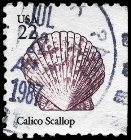 USA - CIRCA 1985: A Stamp printed in USA shows the Calico Scallop, Seashells series, circa 1985の写真素材