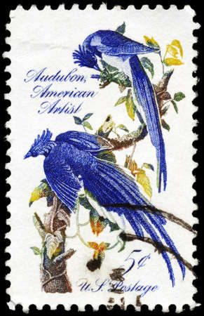 USA - CIRCA 1963: A Stamp printed in USA shows the Columbia Jays, by John James Audubon (1785-1851), ornithologist and artist, circa 1963の写真素材