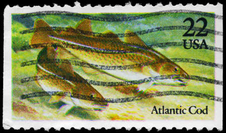 USA - CIRCA 1986: A Stamp printed in USA shows the Atlantic Cod, Fish series, circa 1986
