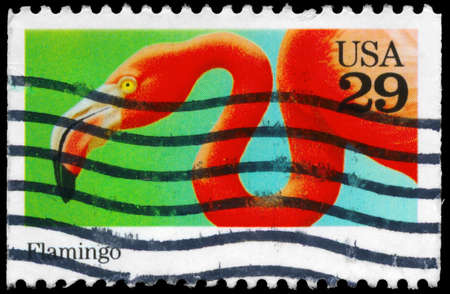 USA - CIRCA 1992: A Stamp printed in USA shows the Flamingo, Wild Animals series, circa 1992の写真素材