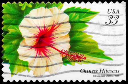 USA - CIRCA 1999: A Stamp printed in USA shows the Chinese Hibiscus (Hibiscus rosa-sinensis), Tropical Flowers series, circa 1999のeditorial素材
