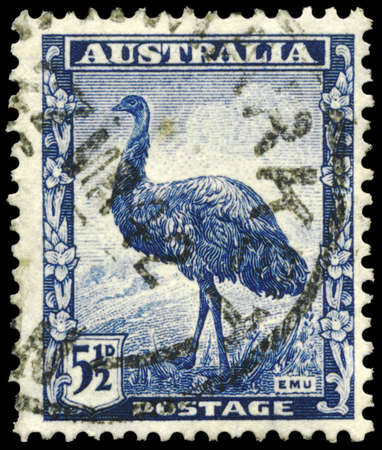 AUSTRALIA - CIRCA 1942: A Stamp printed in AUSTRALIA shows the Emu, circa 1942のeditorial素材
