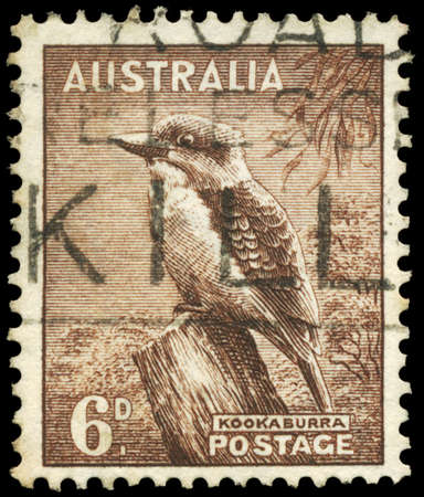 AUSTRALIA - CIRCA 1942: A Stamp printed in AUSTRALIA shows the Kookaburra, circa 1942のeditorial素材