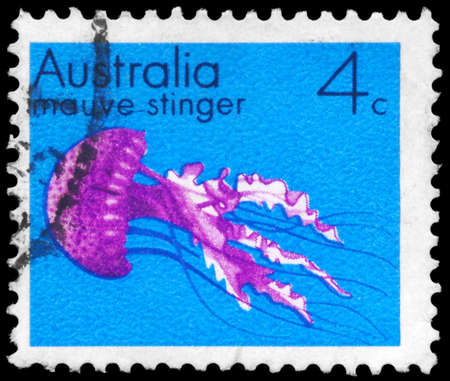 AUSTRALIA - CIRCA 1973: A Stamp printed in AUSTRALIA shows the Mauve Stinger, series, circa 1973のeditorial素材