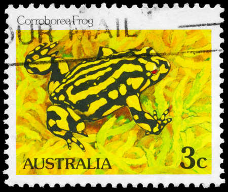 AUSTRALIA - CIRCA 1981: A Stamp printed in AUSTRALIA shows the Corroboree Frog, series, circa 1981のeditorial素材