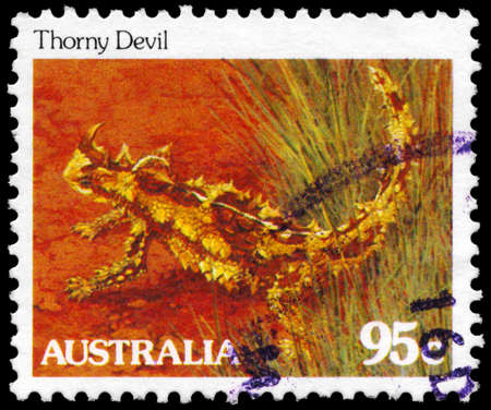 AUSTRALIA - CIRCA 1981: A Stamp printed in AUSTRALIA shows the Thorny Devil, series, circa 1981のeditorial素材