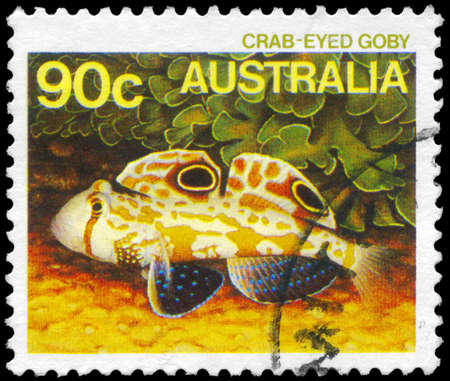 AUSTRALIA - CIRCA 1984: A Stamp printed in AUSTRALIA shows the Crab-eyed Goby, series, circa 1984