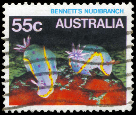 AUSTRALIA - CIRCA 1984: A Stamp printed in AUSTRALIA shows the Bennettâs Nudibranch, series, circa 1984のeditorial素材