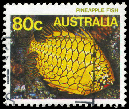AUSTRALIA - CIRCA 1984: A Stamp printed in AUSTRALIA shows the Pineapplefish, series, circa 1984のeditorial素材