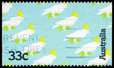 AUSTRALIA - CIRCA 1985: A Stamp printed in AUSTRALIA shows the Australian Cockatoo, circa 1985のeditorial素材