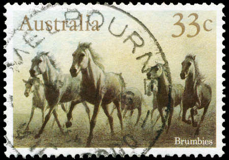 AUSTRALIA - CIRCA 1986: A Stamp printed in AUSTRALIA shows the Brumbies, Horses series, circa 1986