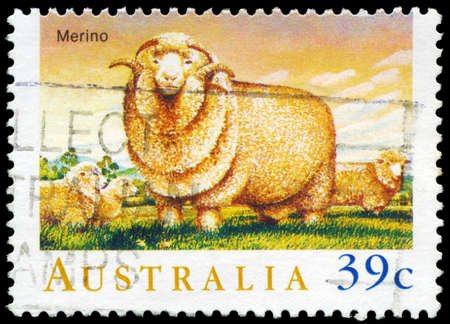 AUSTRALIA - CIRCA 1989: A Stamp printed in AUSTRALIA shows the Merino, Sheep series, circa 1989のeditorial素材