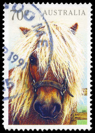 AUSTRALIA - CIRCA 1991: A Stamp printed in AUSTRALIA shows the Pony, Pets series, circa 1991のeditorial素材