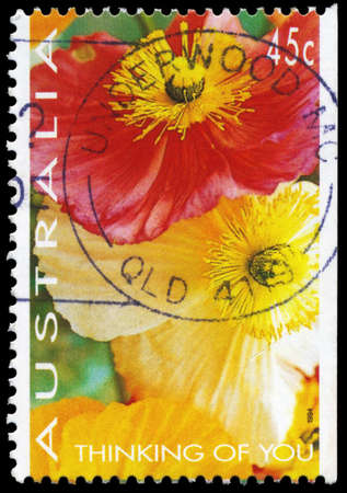 AUSTRALIA - CIRCA 1994: A Stamp printed in AUSTRALIA shows the Poppies, "Thinking of You" series, circa 1994のeditorial素材