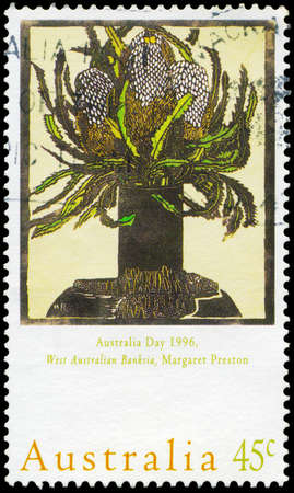 AUSTRALIA - CIRCA 1996: A Stamp printed in AUSTRALIA shows the West Australian Banksia, by Margaret Preston (1875-1963), Australia Day issue, circa 1996のeditorial素材